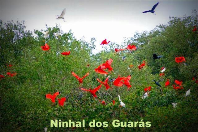 Pousada Real Ilha Comprida Bagian luar foto